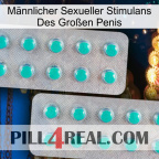 Männlicher Sexueller Stimulans Des Großen Penis 29